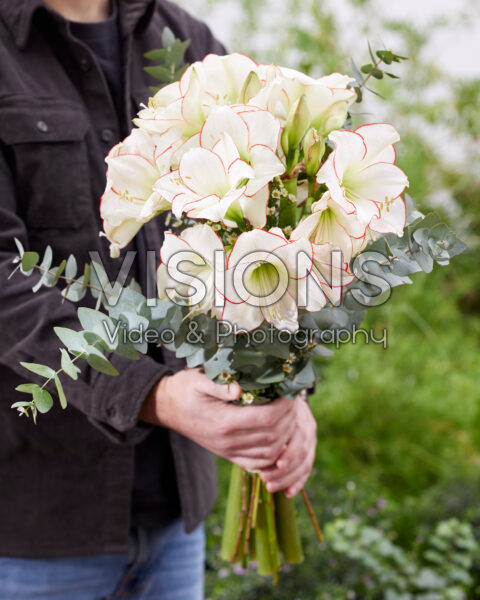Man holding amaryllis bouquet