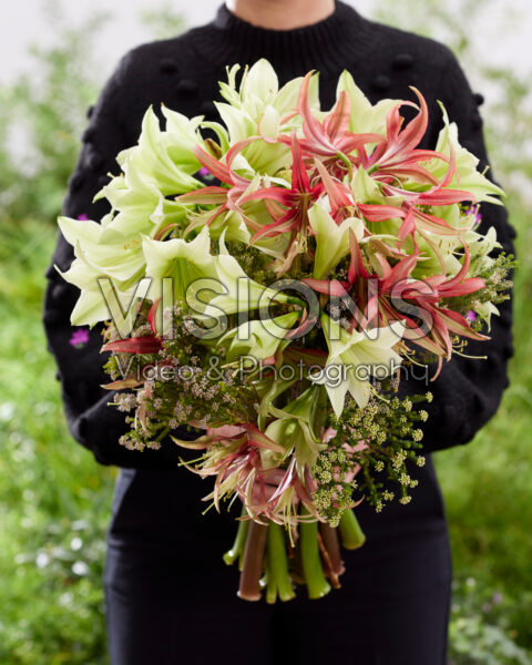 Lady holding amaryllis bouquet Lady holding amaryllis bouquet