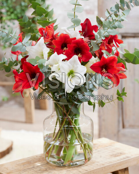 Gemengd amaryllis boeket Gemengd amaryllis boeket