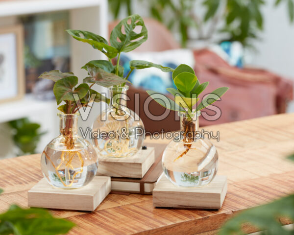 Hydroponics collection