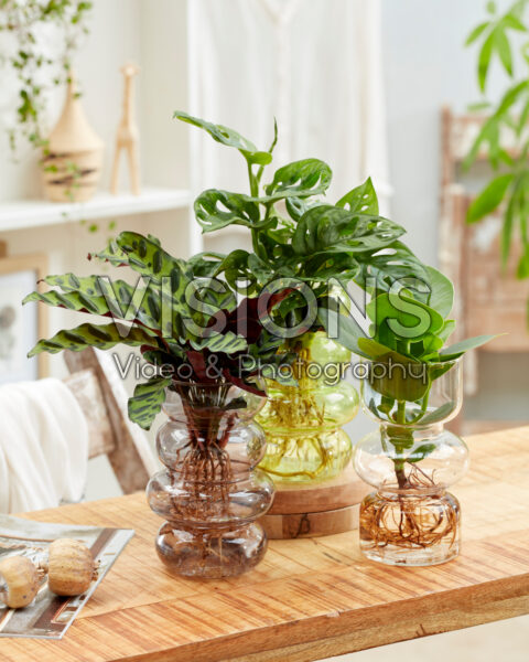 Hydroponics collection