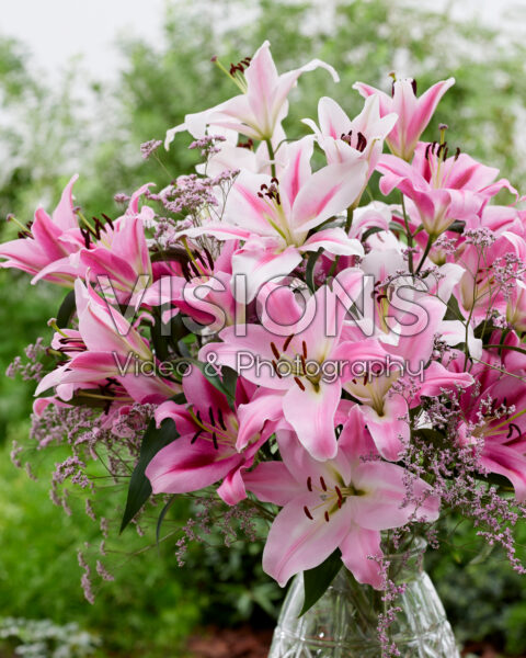 Mixed lily bouquet
