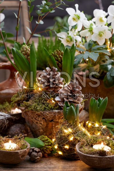 Hyacinth arrangement Hyacinth arrangement
