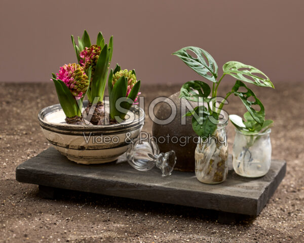 Imperfecte bloemen