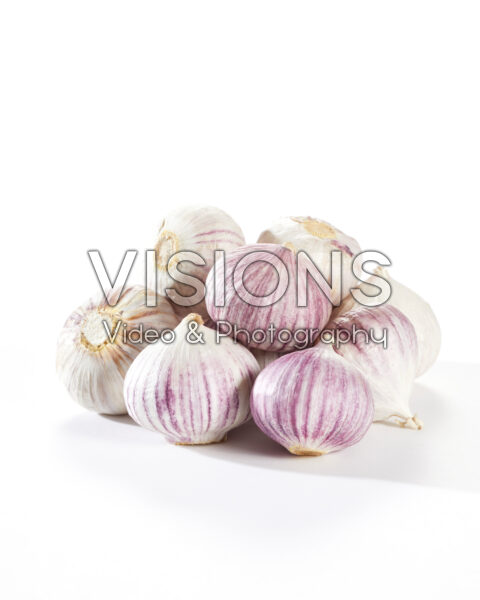 Solo knoflook, Allium sativum Solo knoflook, Allium sativum