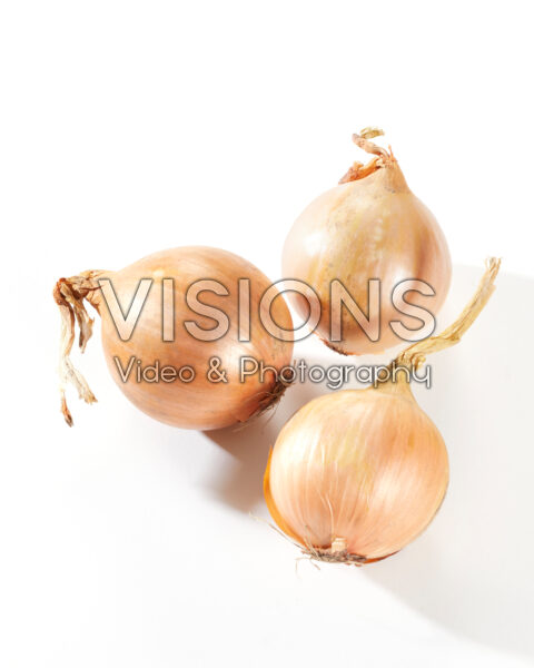 Gele uien, Allium cepa Gele uien, Allium cepa