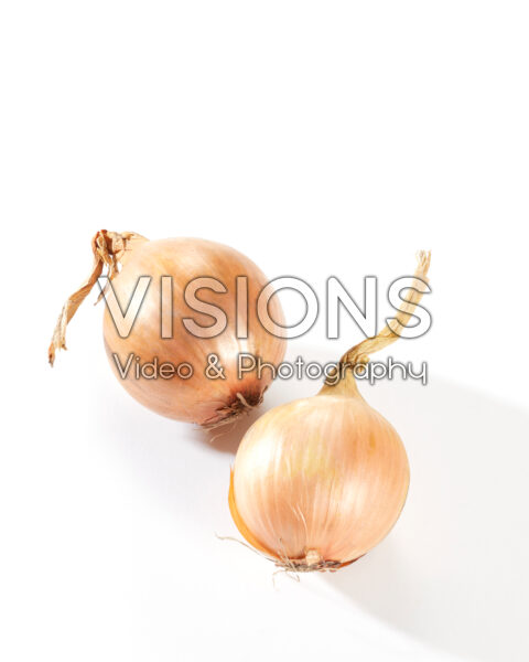 Gele uien, Allium cepa Gele uien, Allium cepa