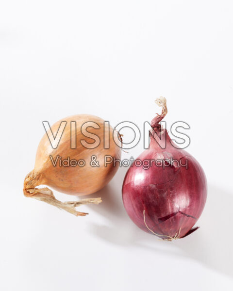 Onions, Allium cepa