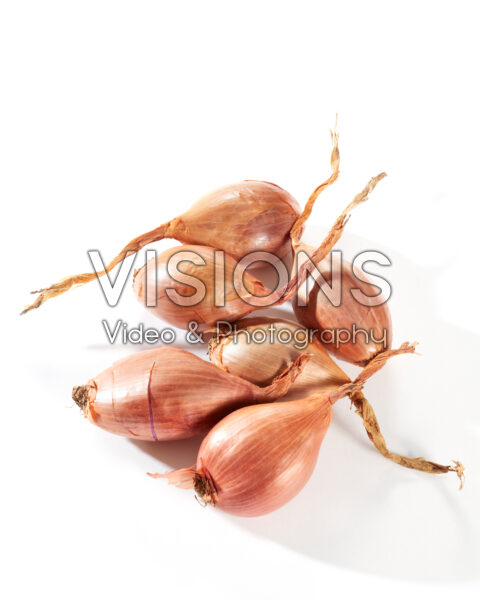 Sjalotten, Allium ascalonicum Sjalotten, Allium ascalonicum