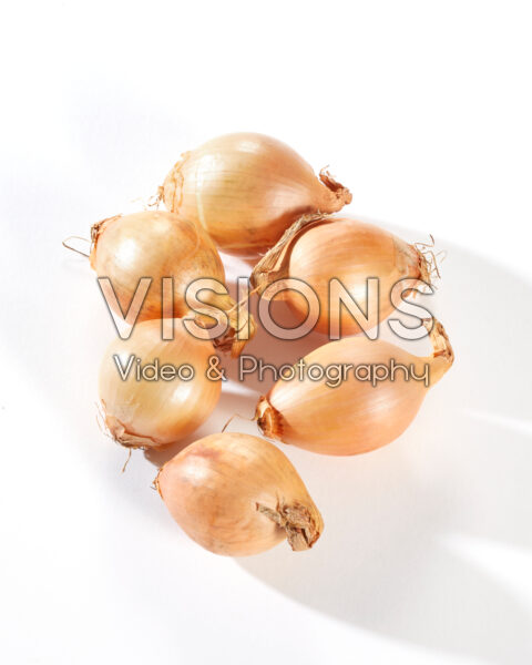 Mini onions yellow, Allium cepa