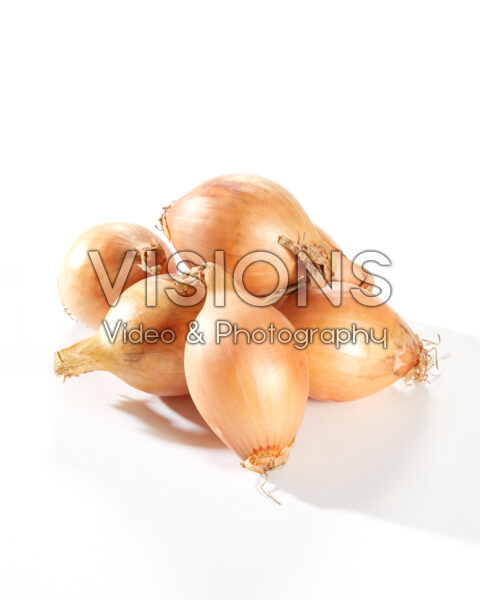 Mini onions yellow, Allium cepa