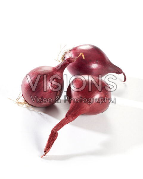 Mini uien rood, Allium cepa