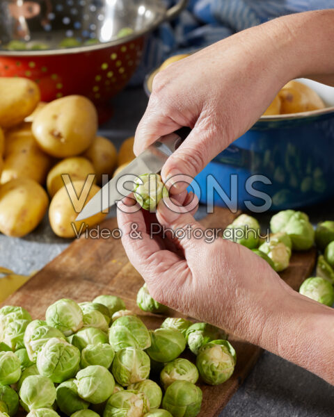 Brussels sprouts, Brassica oleracea var. gemmifera Brussels sprouts, Brassica oleracea var. gemmifera