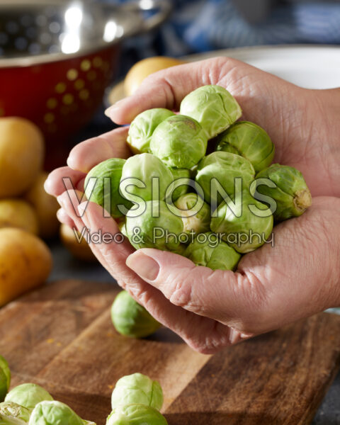 Brussels sprouts, Brassica oleracea var. gemmifera