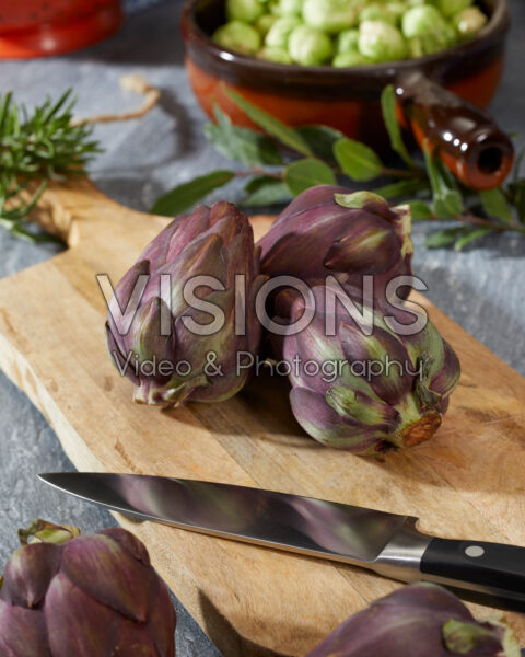 Artichoke, Cynara scolymus