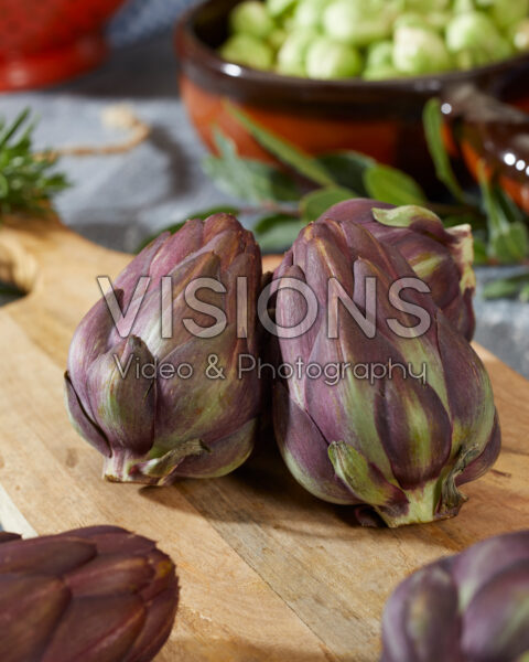 Artichoke, Cynara scolymus Artichoke, Cynara scolymus