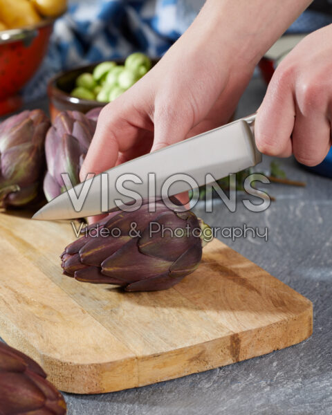 Artichoke, Cynara scolymus