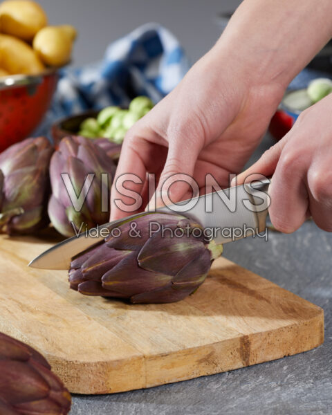 Artichoke, Cynara scolymus