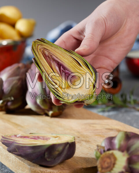 Artichoke, Cynara scolymus Artichoke, Cynara scolymus