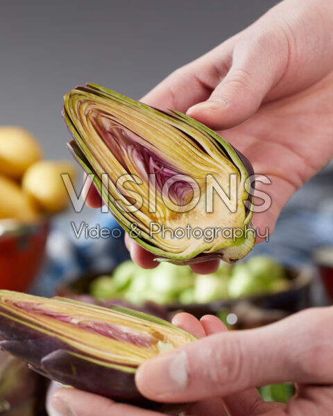 Artichoke, Cynara scolymus