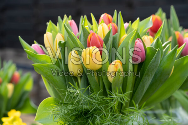 Mixed tulip buoquet