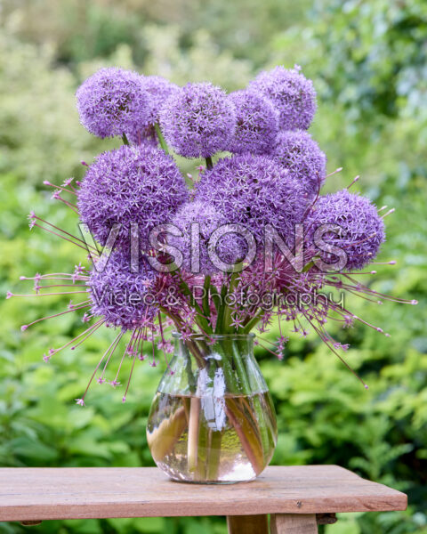Mixed allium bouquet Mixed allium bouquet