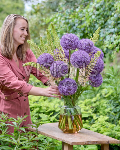 Allium en Eremurus in vaas Allium en Eremurus in vaas