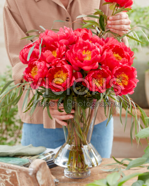 Paeonia Coral Charm bouquet