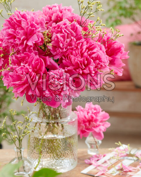 Paeonia Pink Panther boeket