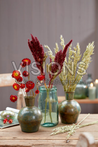 Various dried flowers in vases Various dried flowers in vases