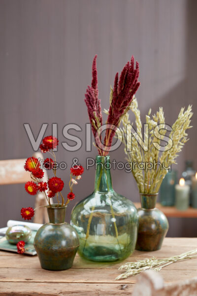 Various dried flowers in vases Various dried flowers in vases