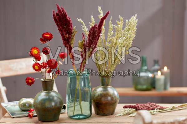 Various dried flowers in vases Various dried flowers in vases