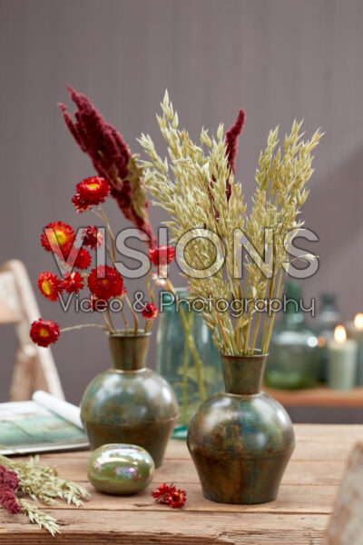 Various dried flowers in vases Various dried flowers in vases