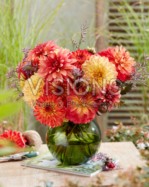Mixed dahlia bouquet Mixed dahlia bouquet