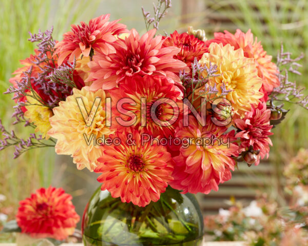 Mixed dahlia bouquet Mixed dahlia bouquet