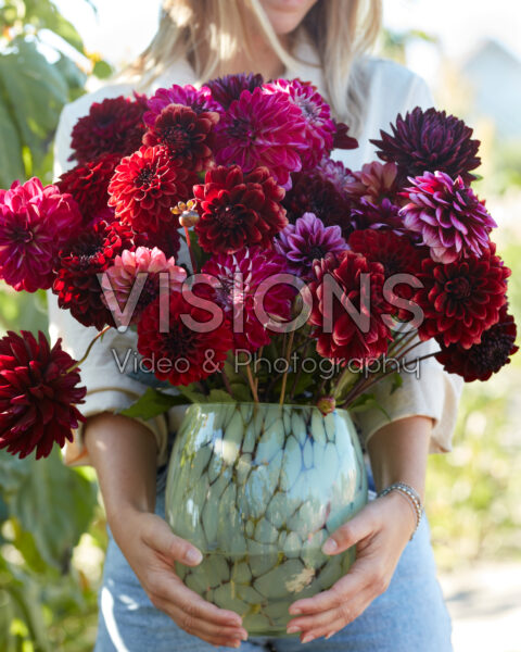 Dame met gemengd dahliaboeket in paars en rood Dame met gemengd dahliaboeket in paars en rood