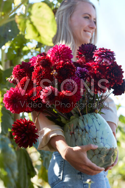 Lady with mixed dahlia bouquet in purple and red Lady with mixed dahlia bouquet in purple and red
