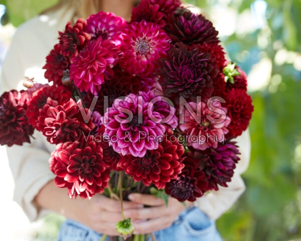 Dame met gemengd dahliaboeket in paars en rood