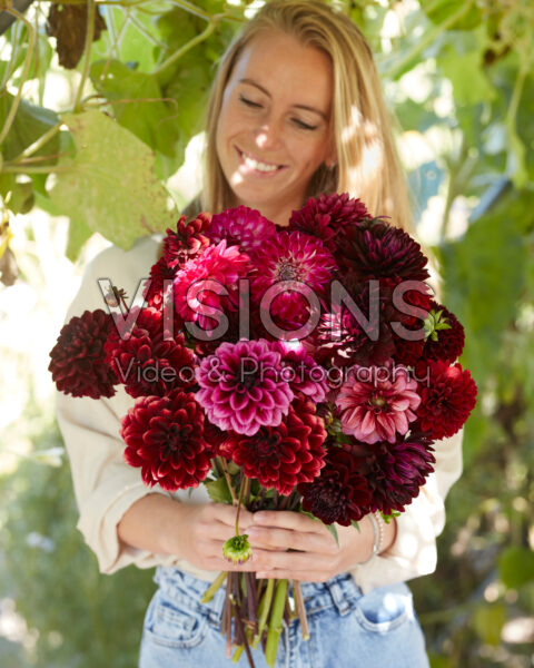 Lady with mixed dahlia bouquet in purple and red Lady with mixed dahlia bouquet in purple and red