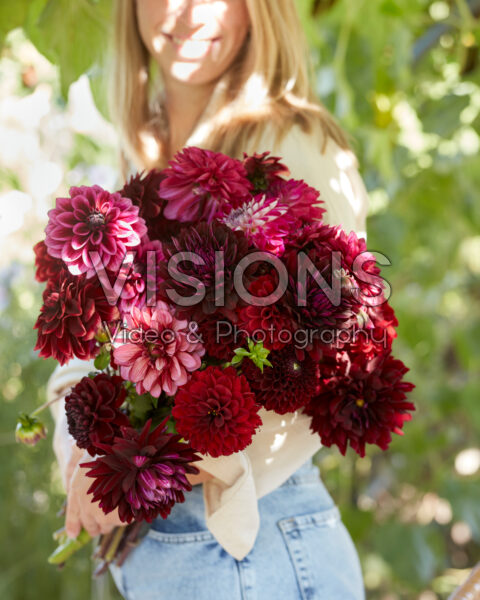 Lady with mixed dahlia bouquet in purple and red