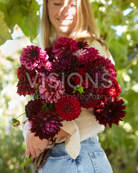 Dame met gemengd dahliaboeket in paars en rood Dame met gemengd dahliaboeket in paars en rood