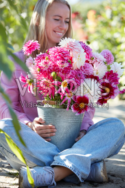 Lady holding zinc bucket with pink and white dahlias Lady holding zinc bucket with pink and white dahlias
