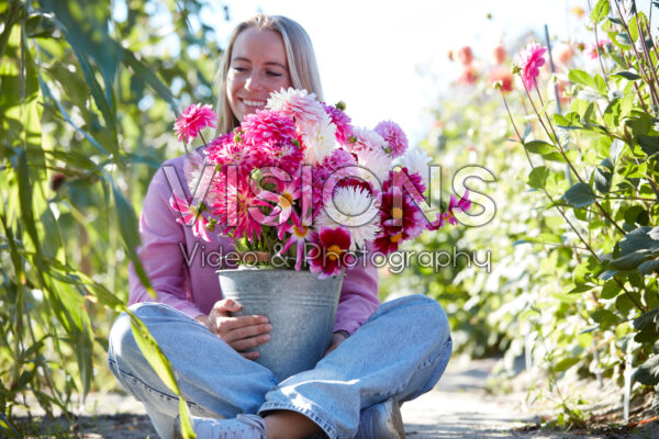 Dame met roze en witte dahlia's in emmer