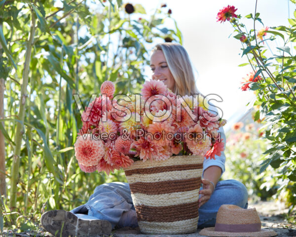 Lady with basket of mixed dahlias Lady with basket of mixed dahlias