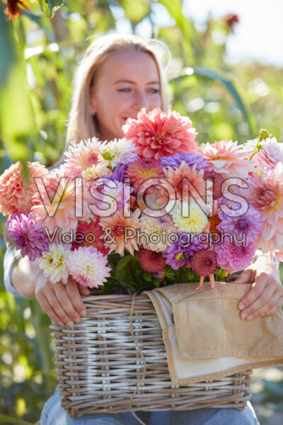 Lady with basket of mixed dahlias Lady with basket of mixed dahlias