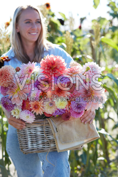 Lady with basket of mixed dahlias Lady with basket of mixed dahlias