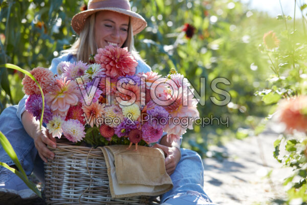 Dame met mand gemengde dahlia's
Dahlia lifestyle afbeeldingen Dame met mand gemengde dahlia's
Dahlia lifestyle afbeeldingen