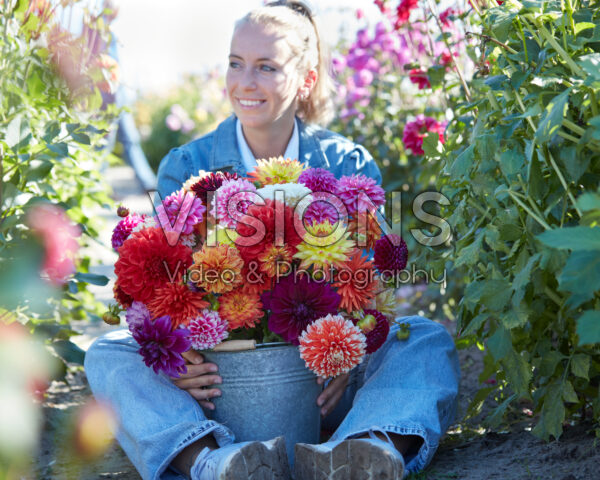Dame met bonte dahlia mix in emmer
Dahlia lifestyle afbeeldingen Dame met bonte dahlia mix in emmer
Dahlia lifestyle afbeeldingen