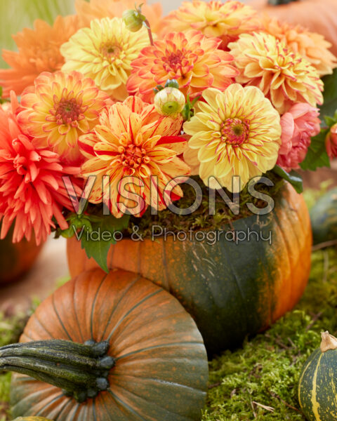 Mixed Dahlia bouquet in pumpkin Mixed Dahlia bouquet in pumpkin