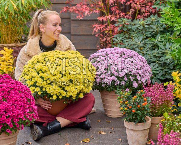 Lady with garden mums, Chrysanthemum Branpetit Lady with garden mums, Chrysanthemum Branpetit